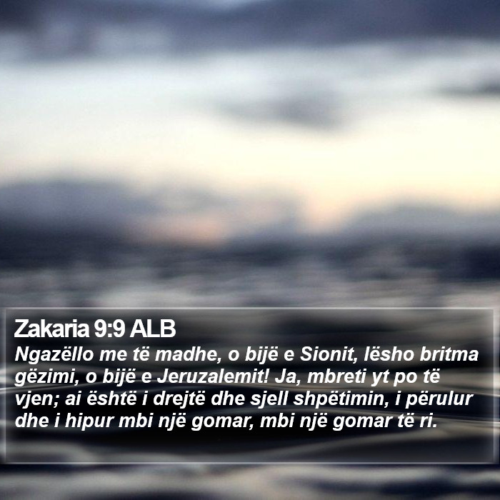 Zakaria 9:9 ALB Bible Study