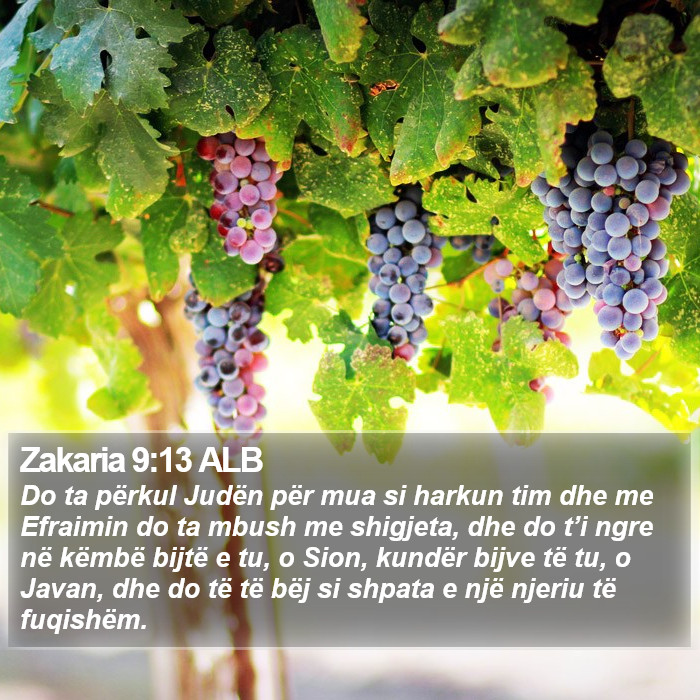 Zakaria 9:13 ALB Bible Study