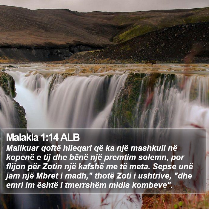 Malakia 1:14 ALB Bible Study