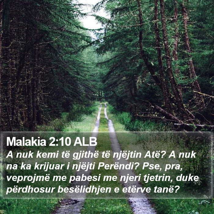 Malakia 2:10 ALB Bible Study