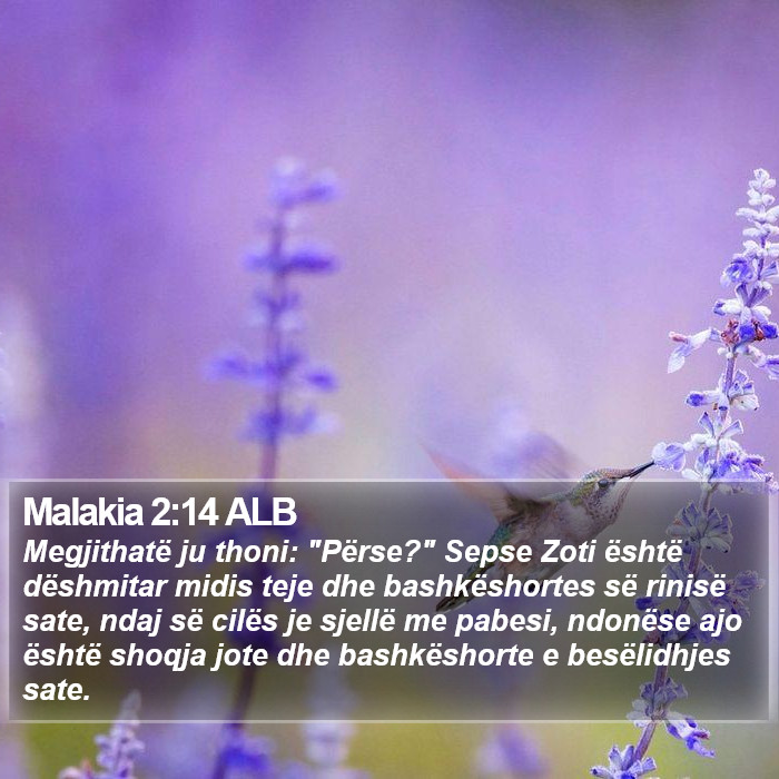 Malakia 2:14 ALB Bible Study