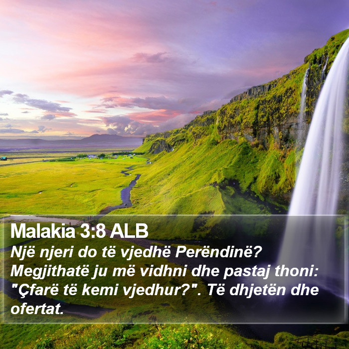 Malakia 3:8 ALB Bible Study