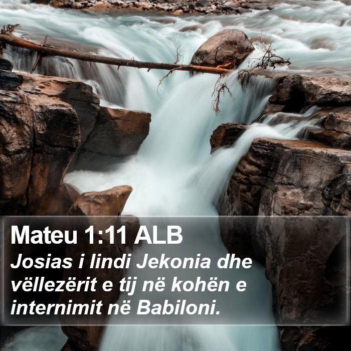 Mateu 1:11 ALB Bible Study