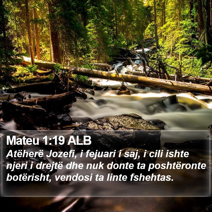 Mateu 1:19 ALB Bible Study