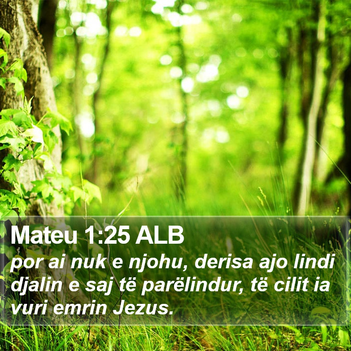 Mateu 1:25 ALB Bible Study