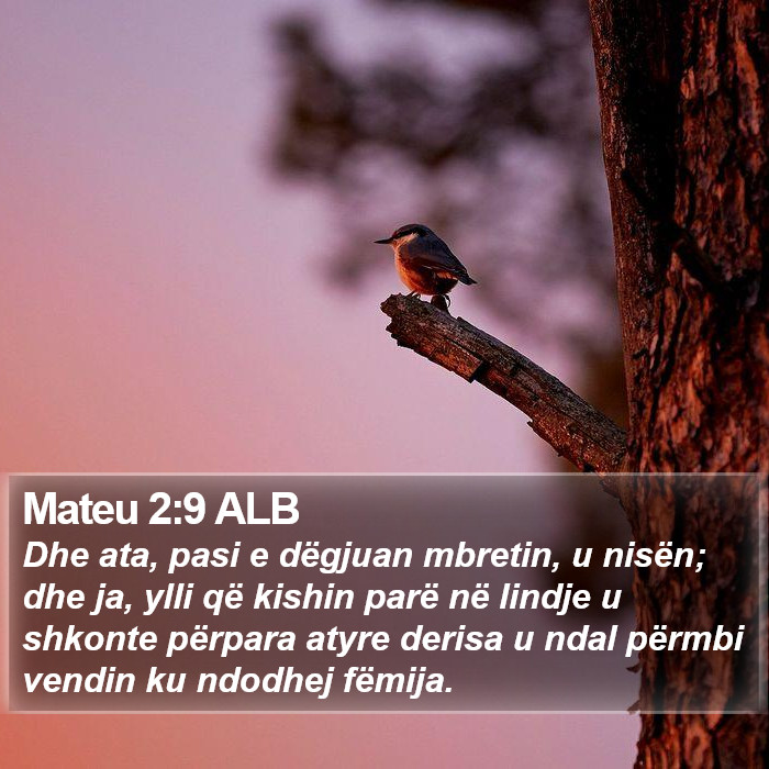 Mateu 2:9 ALB Bible Study