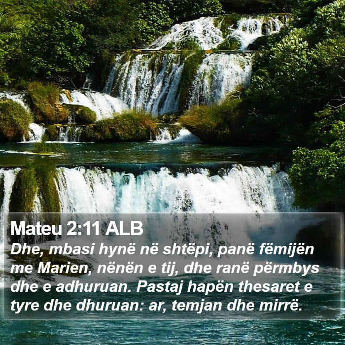 Mateu 2:11 ALB Bible Study