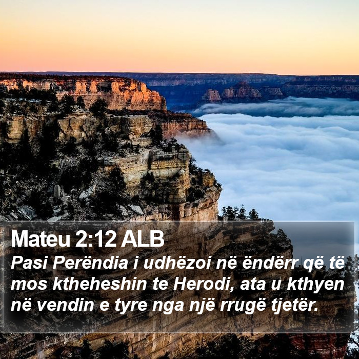 Mateu 2:12 ALB Bible Study