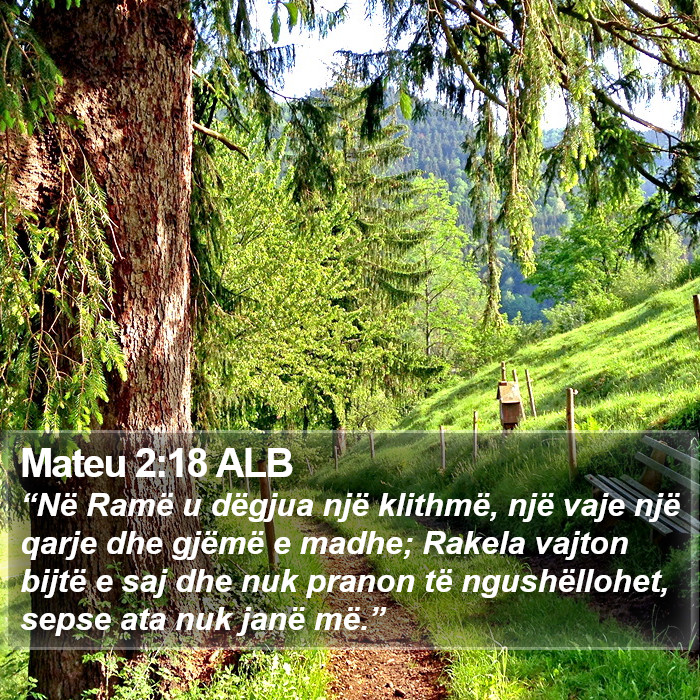 Mateu 2:18 ALB Bible Study