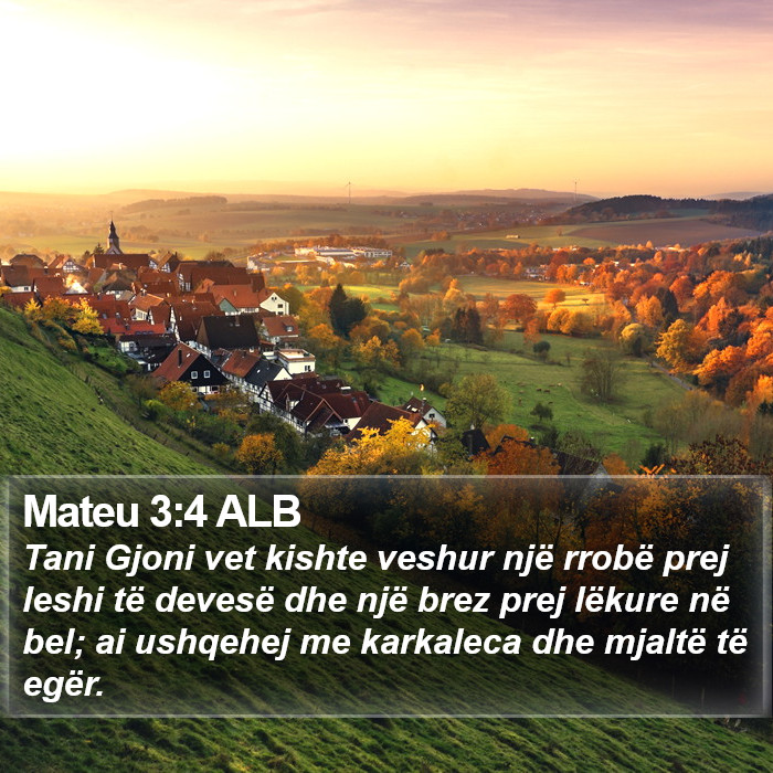 Mateu 3:4 ALB Bible Study