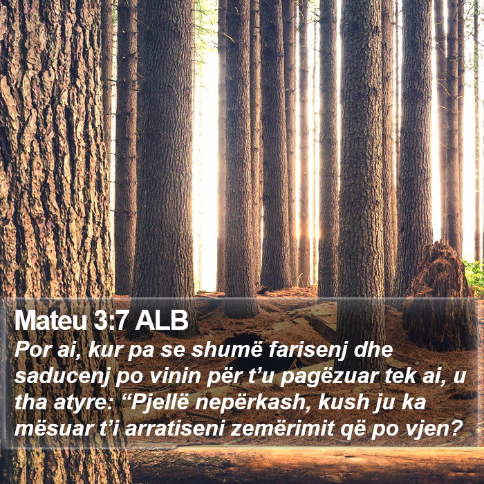 Mateu 3:7 ALB Bible Study