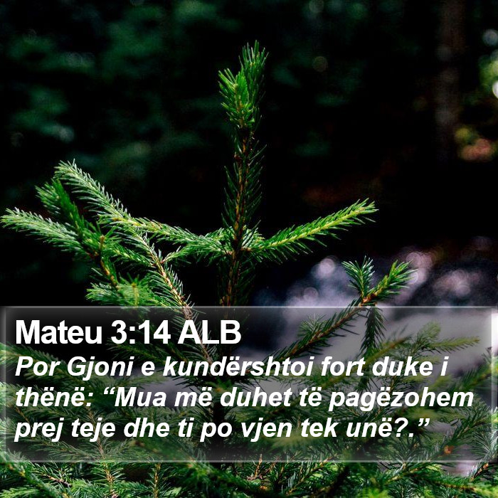 Mateu 3:14 ALB Bible Study