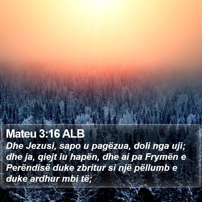 Mateu 3:16 ALB Bible Study