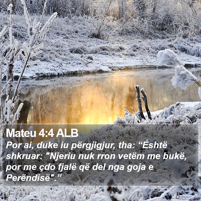 Mateu 4:4 ALB Bible Study