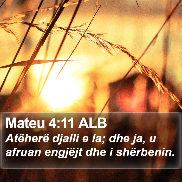 Mateu 4:11 ALB Bible Study