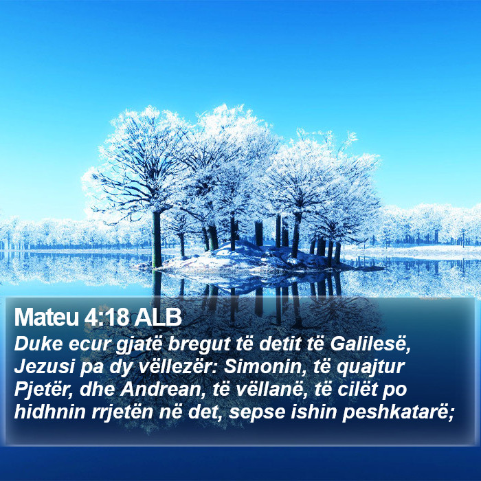 Mateu 4:18 ALB Bible Study