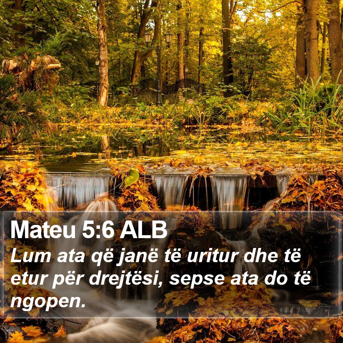 Mateu 5:6 ALB Bible Study