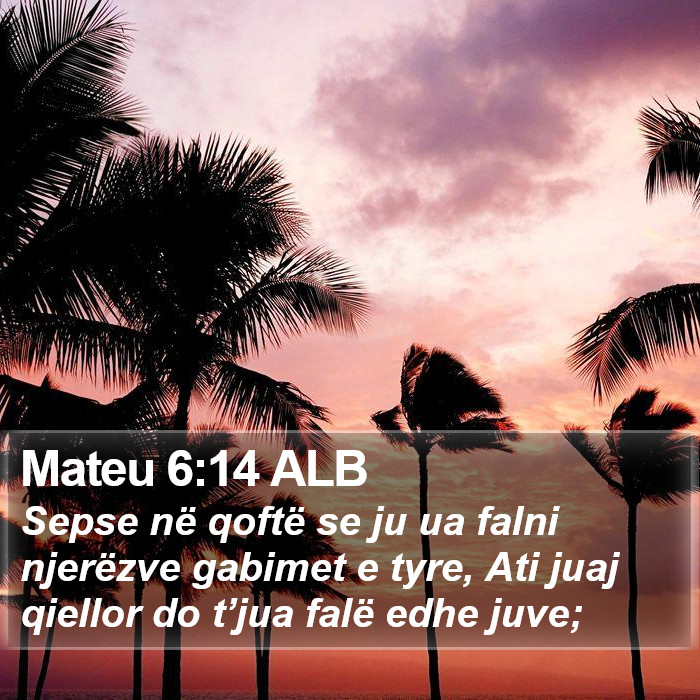 Mateu 6:14 ALB Bible Study