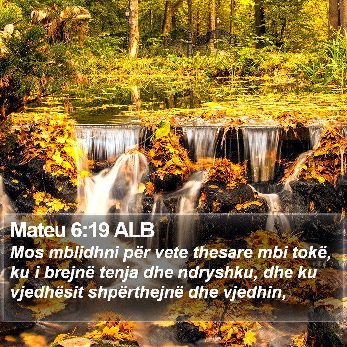 Mateu 6:19 ALB Bible Study