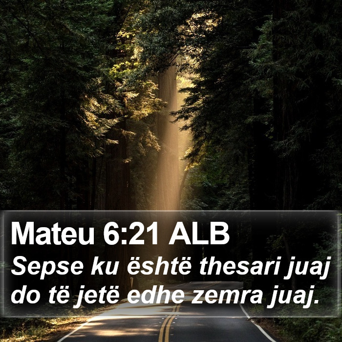 Mateu 6:21 ALB Bible Study