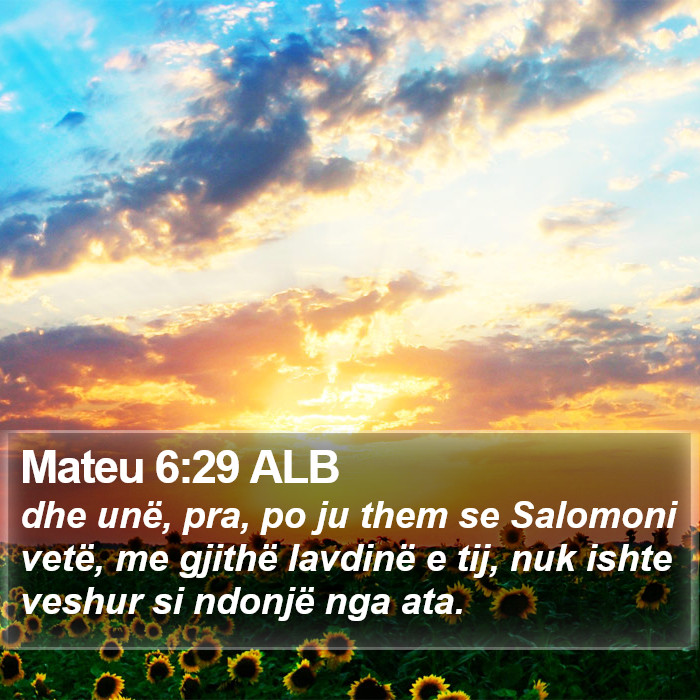 Mateu 6:29 ALB Bible Study