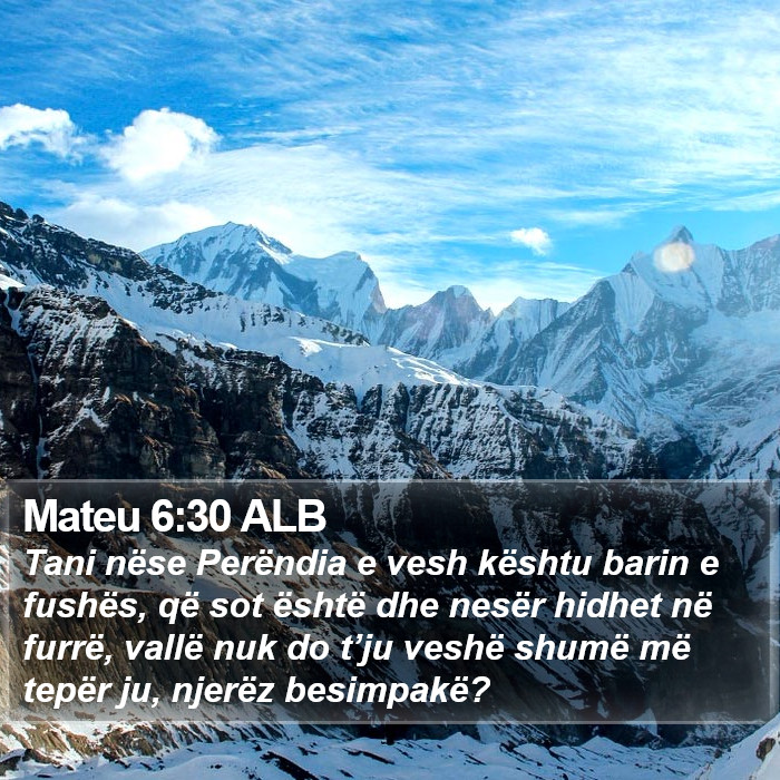 Mateu 6:30 ALB Bible Study