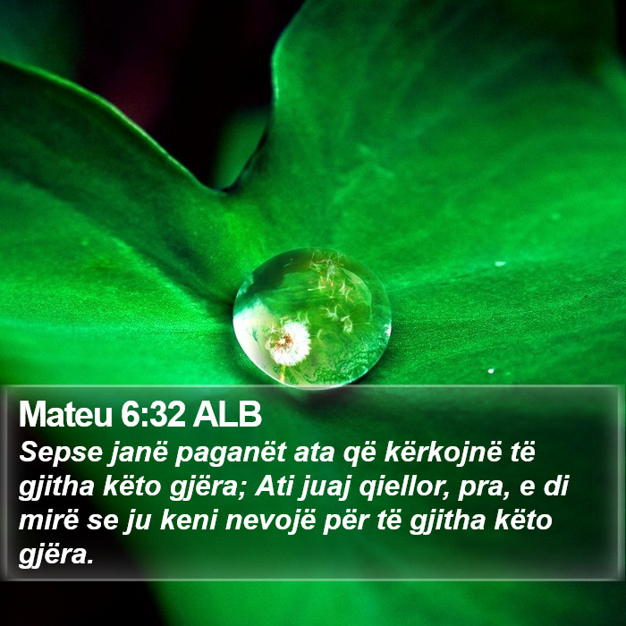 Mateu 6:32 ALB Bible Study