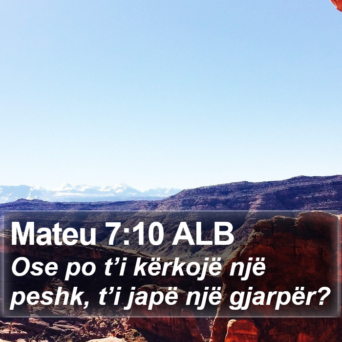 Mateu 7:10 ALB Bible Study