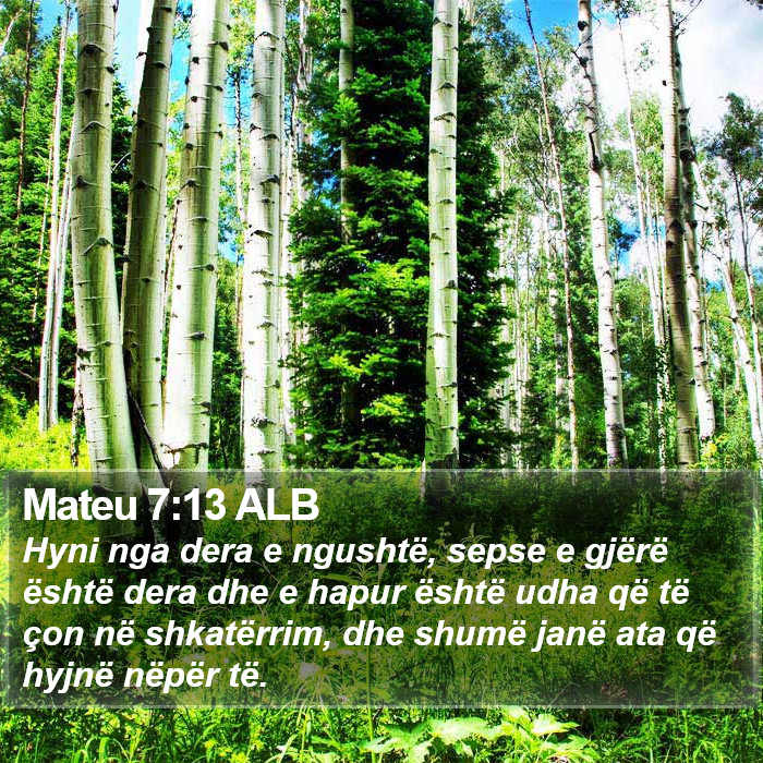 Mateu 7:13 ALB Bible Study