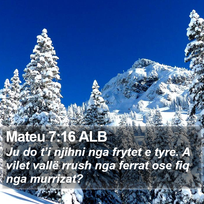 Mateu 7:16 ALB Bible Study