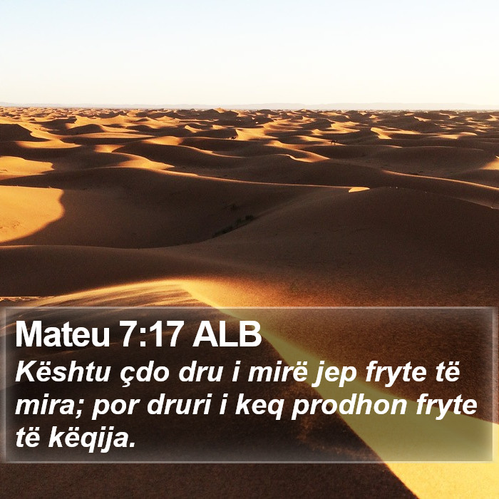 Mateu 7:17 ALB Bible Study