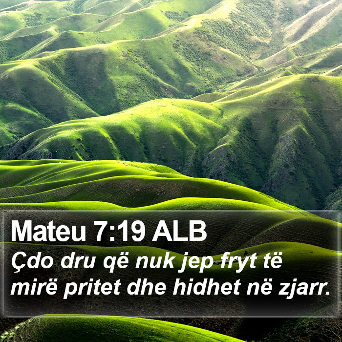 Mateu 7:19 ALB Bible Study