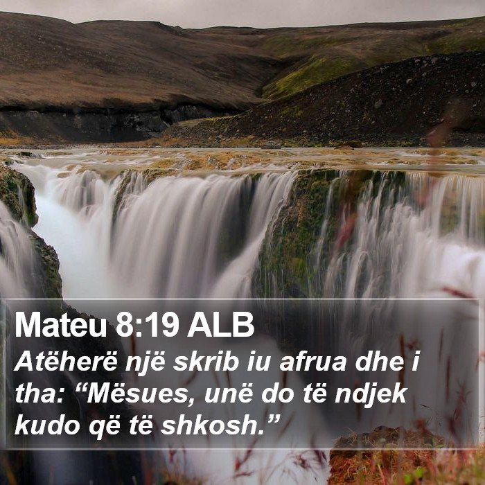 Mateu 8:19 ALB Bible Study