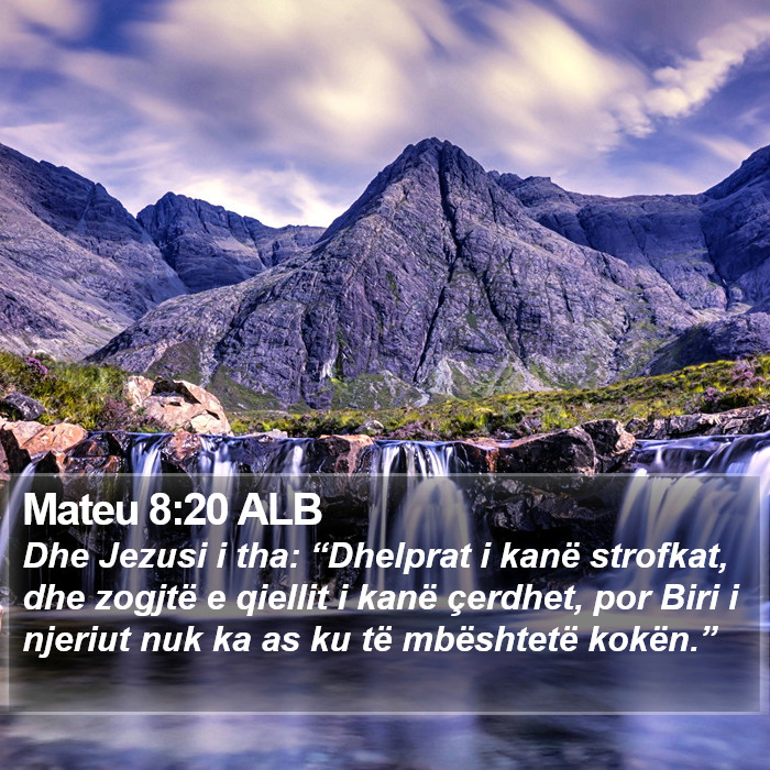Mateu 8:20 ALB Bible Study