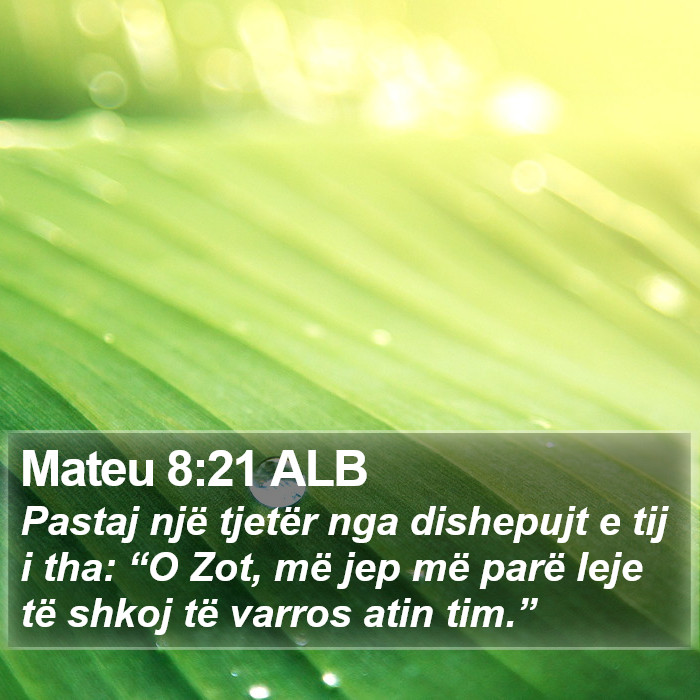 Mateu 8:21 ALB Bible Study