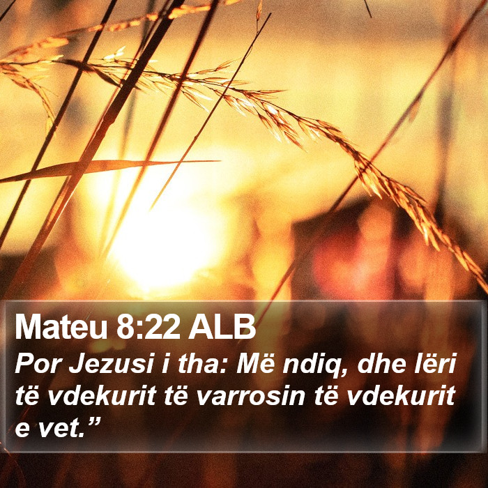 Mateu 8:22 ALB Bible Study