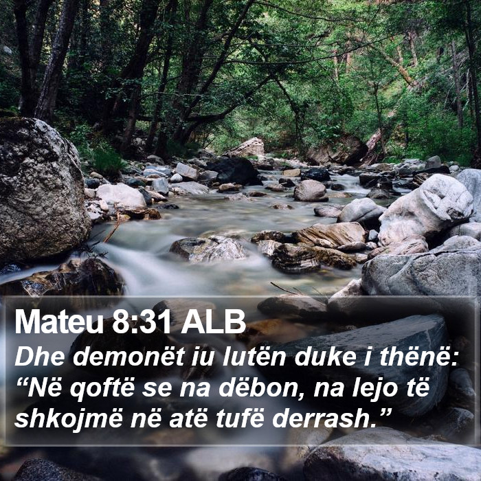 Mateu 8:31 ALB Bible Study