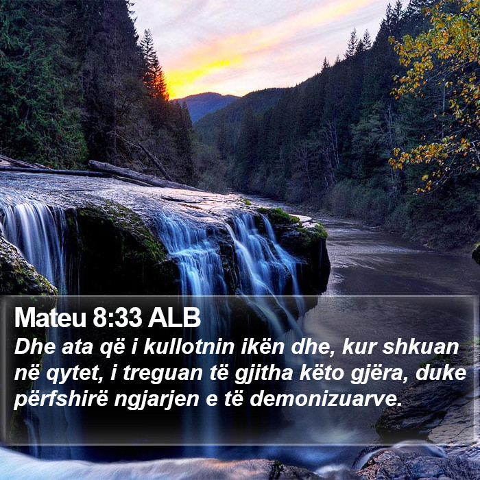 Mateu 8:33 ALB Bible Study