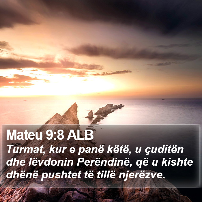 Mateu 9:8 ALB Bible Study