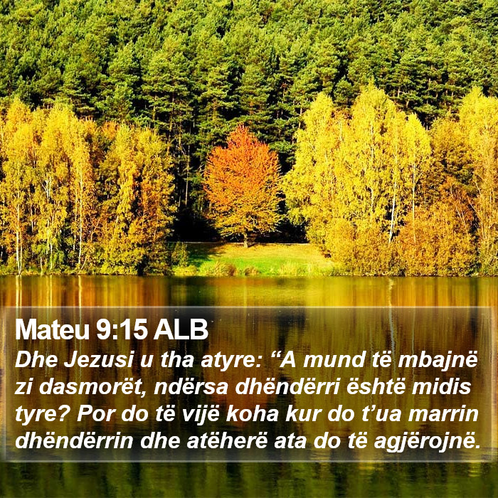 Mateu 9:15 ALB Bible Study