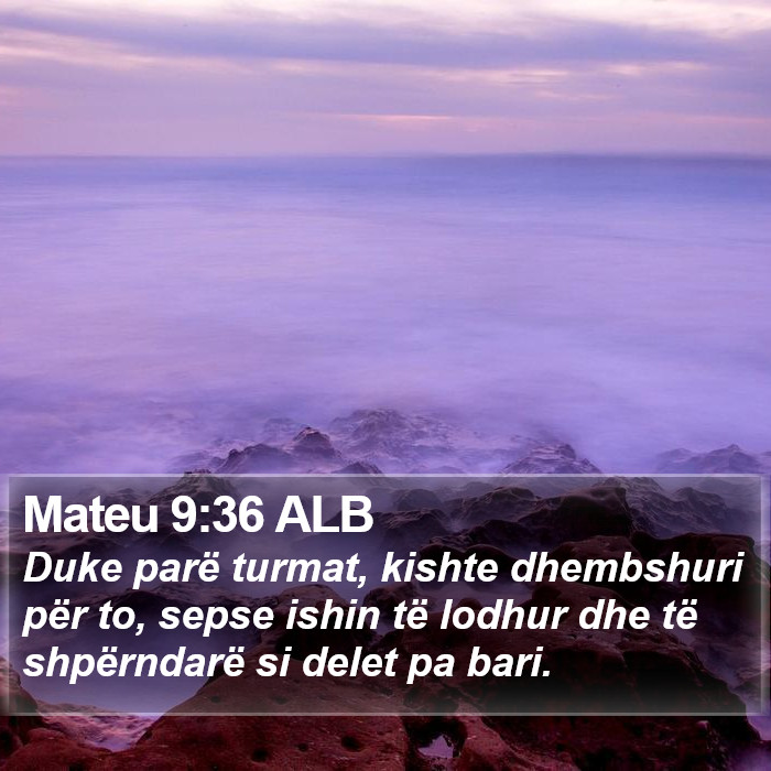 Mateu 9:36 ALB Bible Study