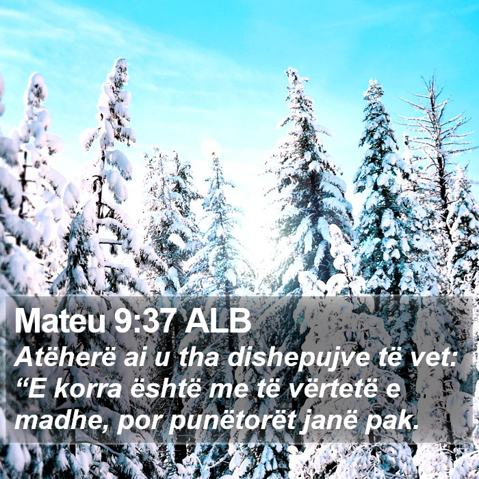 Mateu 9:37 ALB Bible Study