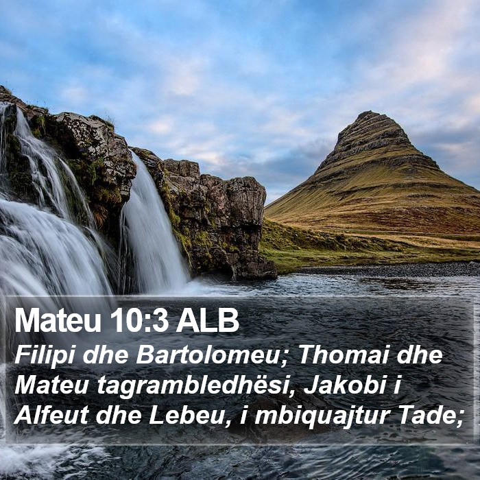 Mateu 10:3 ALB Bible Study