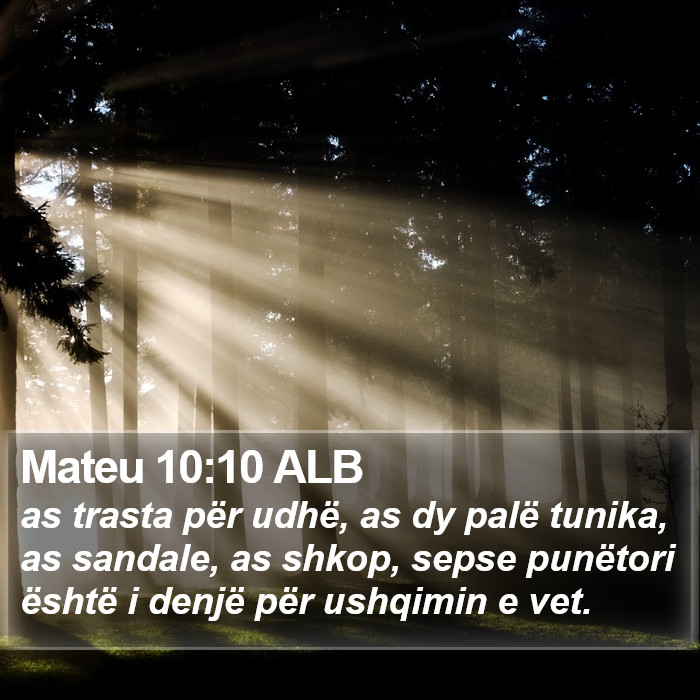 Mateu 10:10 ALB Bible Study