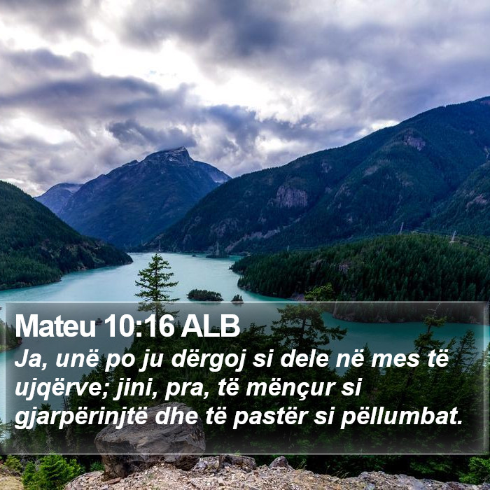 Mateu 10:16 ALB Bible Study