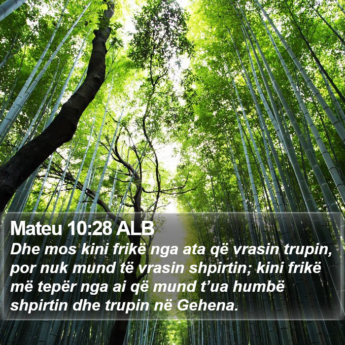 Mateu 10:28 ALB Bible Study