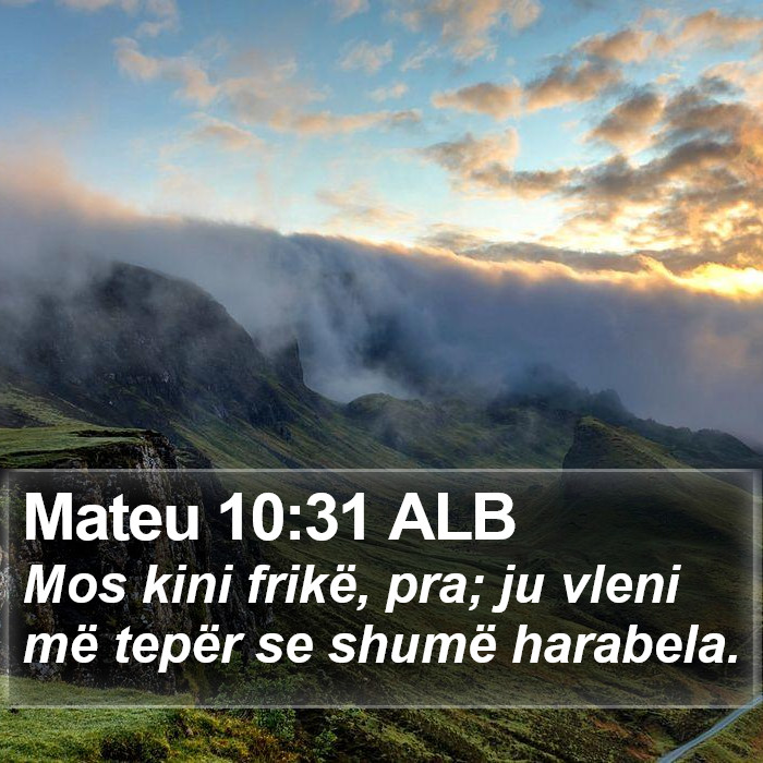 Mateu 10:31 ALB Bible Study