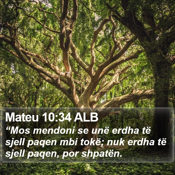 Mateu 10:34 ALB Bible Study