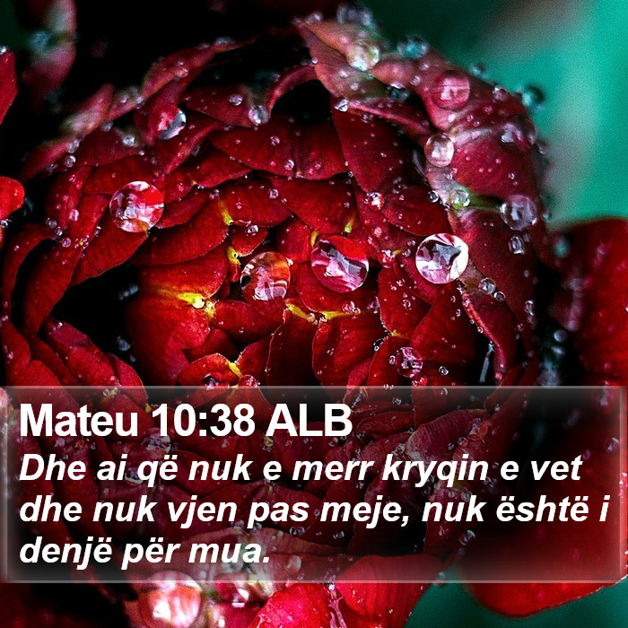 Mateu 10:38 ALB Bible Study