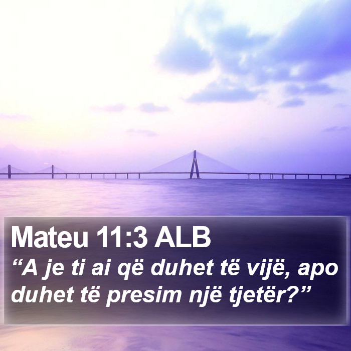 Mateu 11:3 ALB Bible Study